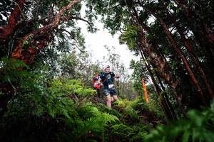 BIB: 
                            <button type="button" onclick="openModal(26203176)" class="btn btn-primary btn-sm float-right btn-popup" data-toggle="modal" data-target=".modal-high-quality">
                        <i class="fas fa-shopping-cart"></i> Add to Cart
                    </button>
                                            <button type="button" onclick="isThisMe(26203176, true)" class="btn btn-success btn-sm float-right btn-popup btn-isme hidden" data-toggle="tooltip" data-placement="bottom" title="นี่คือรูปของคุณใช่ไหม คลิกที่นี่เพื่อเอาเข้าอัลบั้ม">
                        <i class="fas fa-plus"></i> Add to album
                    </button>
                    <button type="button" onclick="isThisMe(26203176, false)" class="btn btn-warning btn-sm float-right btn-popup btn-isnotme hidden">
                        <i class="fas fa-ban"></i> Remove from album
                    </button>